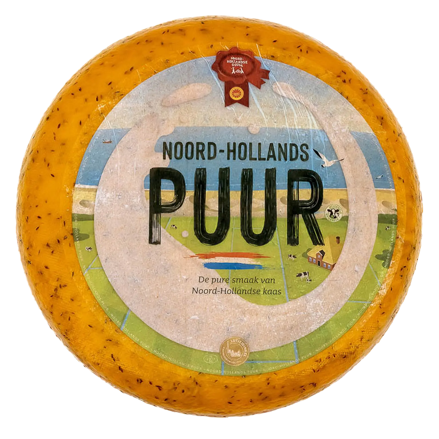 Hele kaas Noord-Hollands komijn belegen met gekleurd etiket